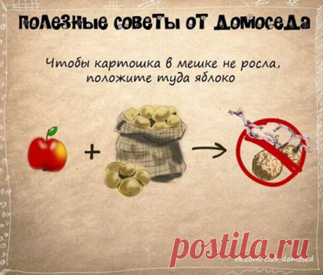 Фотографии zoja simonova - 6136 фото в Моем Мире.
