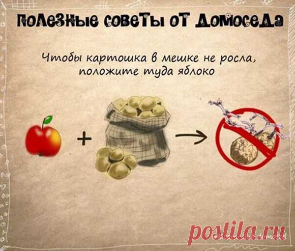 Фотографии zoja simonova - 6136 фото в Моем Мире.