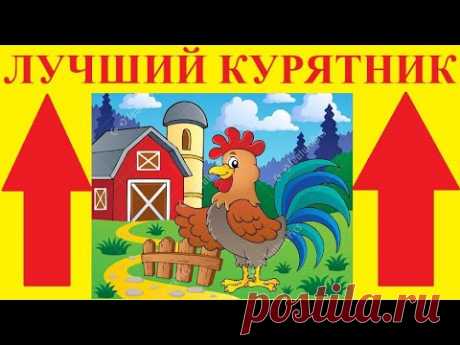 СОВРЕМЕННЫЙ КУРЯТНИК СВОИМИ РУКАМИ часть 1.