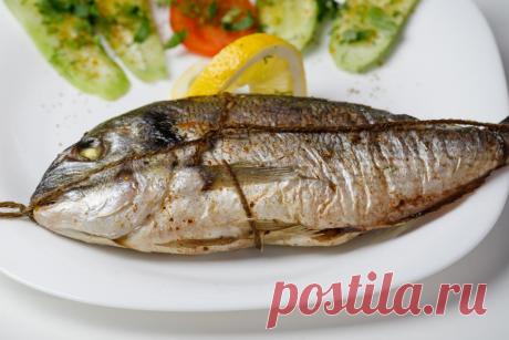 Польза белой рыбы