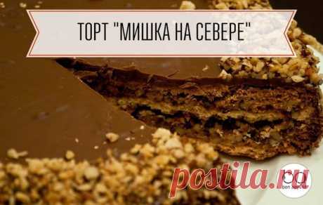 МИШКА НА СЕВЕРЕ ТОРТ