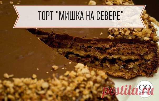 МИШКА НА СЕВЕРЕ ТОРТ