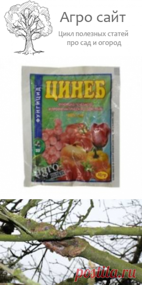 Цинеб фунгицид от грибковых болезней растений