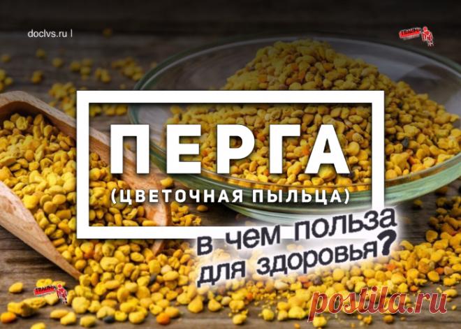 Цветочная пыльца - один из важнейших продуктов пчеловодства. Это универсальное лекарство, способное помочь при лечении множества недугов.