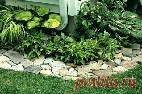 Результат поиска Google для https://plantcaretoday.com/wp-content/uploads/concrete-lawn-edging-ideas.jpg