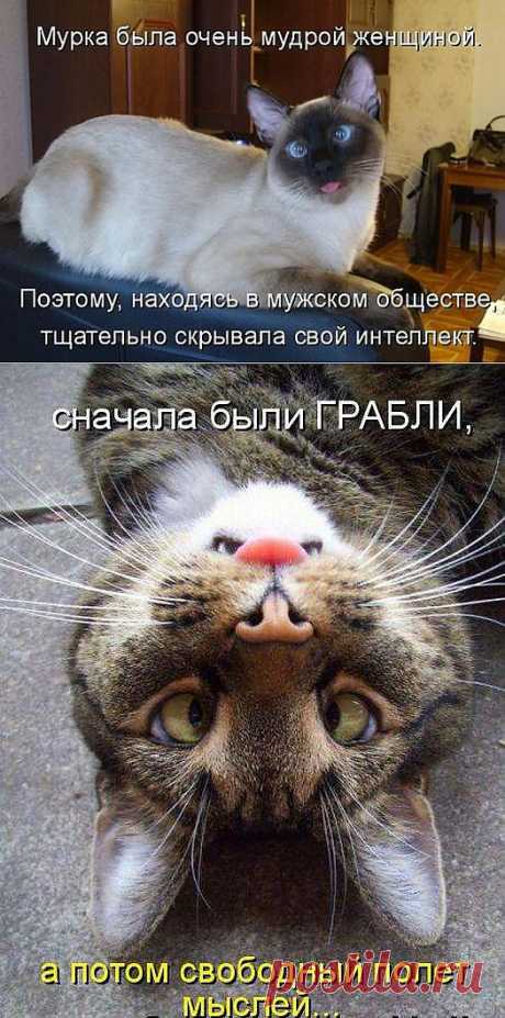 Умные фразы....