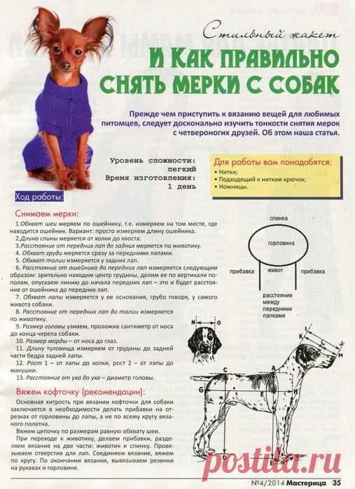 >Как правильно снять мерки с собак