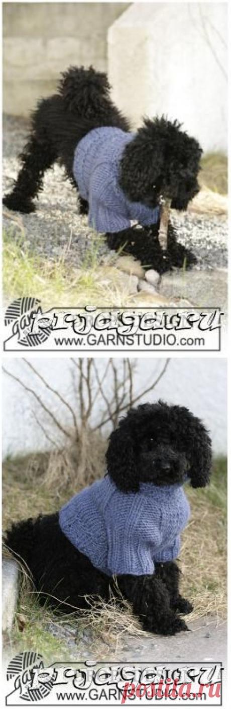 Вяжем собакам кофточку
