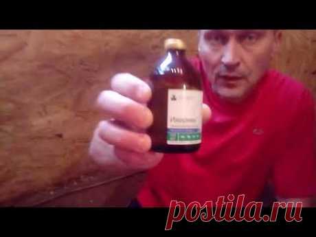 Борьба с мухами и их уничтожение