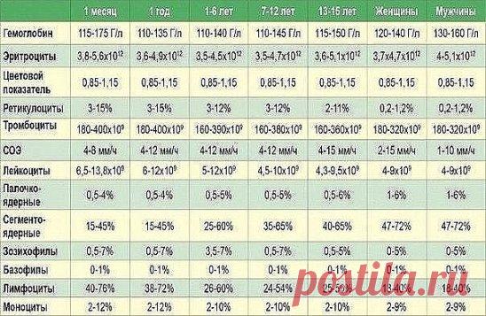 9 ПОКАЗАТЕЛЕЙ КРОВИ, КОТОРЫЕ РАССКАЖУТ ВСЕ О ВАШЕМ ЗДОРОВЬЕ 
Итак, что же говорит нам наша кровь? Анализ крови мы сдаем практически при любом заболевании. И грамотный врач непременно отправит вас первым делом “на кровь”. Для общего анализа кровь берется или из вены, или из пальца. И первичный анализ можно сдавать не натощак. Но для развернутого есть нельзя ни в коем случае! Помните это! 
Причина