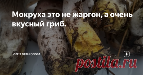 Мокруха это не жаргон, а очень вкусный гриб. Полное название  гриба - мокруха еловая. И это один из вкуснейших грибов в наших лесах.
Встречается  мокруха часто, но игнорируют её грибники, или пренебрежительно пинают ногами. Поэтому вношу свою лепту в возможный пробел грибных знаний.
Начну с внешнего вида мокрухи.
И почему собственно мокруха? Ещё одно есть название у мокрухи, слизняк.