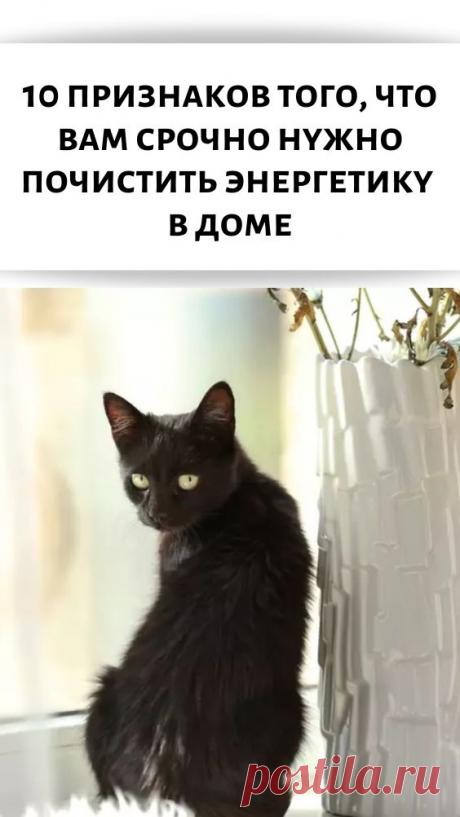 10 признаков того, что вам срочно нужно почистить энергетику в доме