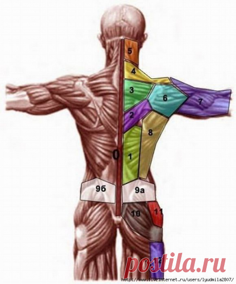 Проекция психосоматических проблем на теле