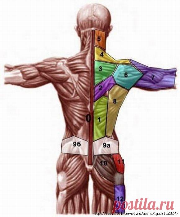 Проекция психосоматических проблем на теле