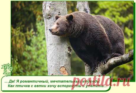Хорошего Вам настроения.