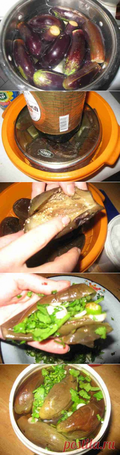 Патлыджан туршу (турецкая кухня) : Баклажаны, кабачки