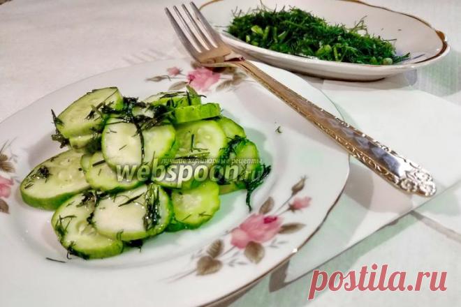 Салат из огурцов с чесноком  Огуречный салат с чесноком 
Летний освежающий салат из огурцов и укропа, заправленный чесноком и подсолнечным маслом.  
Укроп отлично сочетается с чесноком и придаёт особый вкус огурцам. Неотъемлемым плюсом данного блюда является то, что оно довольно лёгкое в приготовлении и не требует большого количества ингредиентов. 
Так же салат замечательно подходит к картофелю: как к жареному, так и к варёному в виде  пюре .