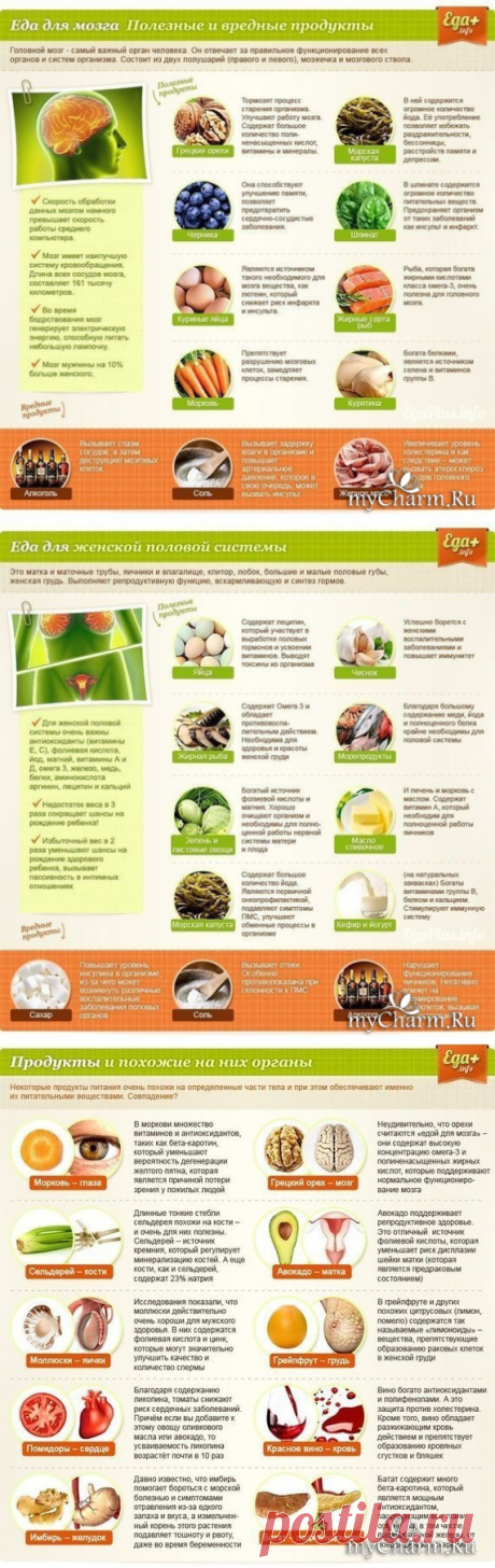 Полезные и вредные продукты для организма: Группа Женское здоровье
