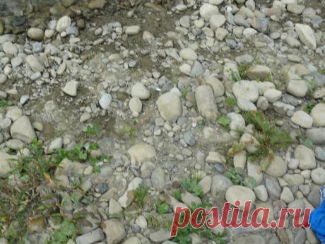 Берег р. Пистынька