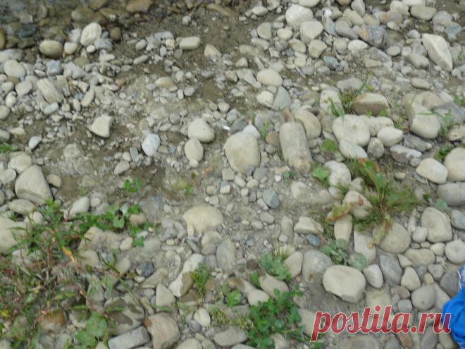 Берег р. Пистынька