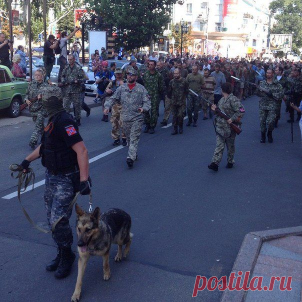 . Пленных украинцев ведут по центру Донецка. Вот вам и парад. Жутко на самом деле. Самое мягкое, что скандировали люди: Фашисты - Народные новости - МОЁ! Online Воронеж