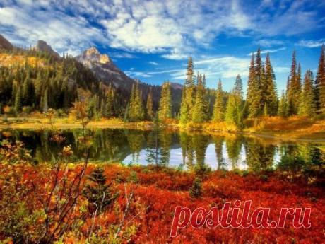 Красочные обои &quot;Осень&quot; на рабочий стол