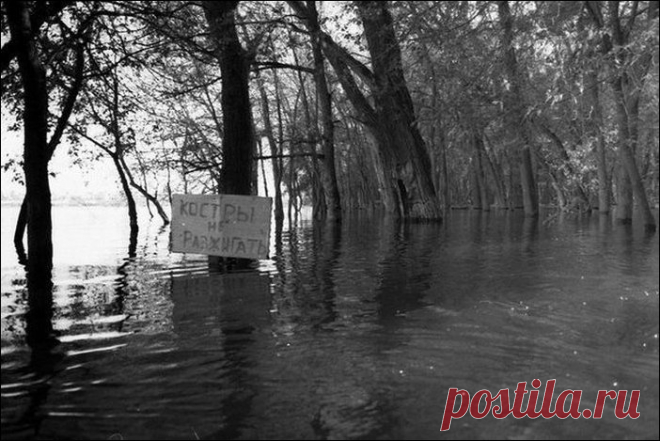 Подборка фотографий (85 фото) | Прикол.ру — приколы, картинки, фотки и розыгрыши!