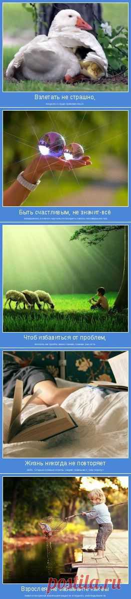 Позитивные мотиваторы | мотиваторы со смыслом, мы дарим позитив