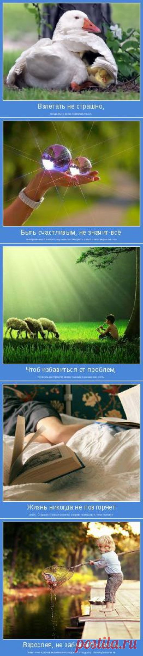 Позитивные мотиваторы | мотиваторы со смыслом, мы дарим позитив