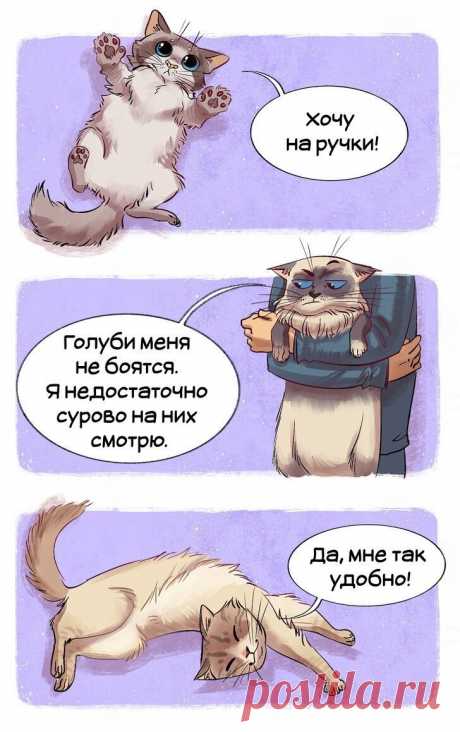 Кошки на рисунках Alice Perkmini