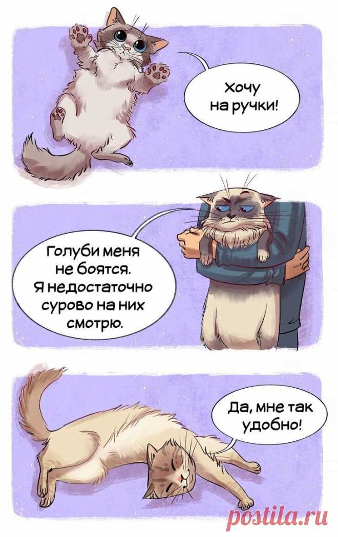 Кошки на рисунках Alice Perkmini