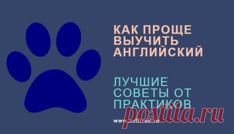 Как проще выучить английский. Лучшие советы от практиков ⋆ Просто быть собой 8 лайфхаков, как проще выучить английский, ценные советы от практиков и подборка лучших бесплатных ресурсов для практических занятий. Легкий способ выучить английский язык и подсказки здесь