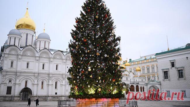 Главная новогодняя ель страны будет украшать Кремль до 20 января