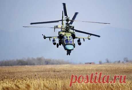 Воздушные бои: &quot;Аллигатор&quot; против &quot;Апача&quot;