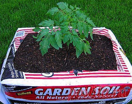 Красивый огород своими руками — как сделать ровные грядки | Умелые ручки