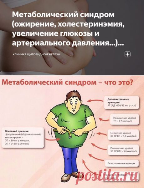 Метаболический синдром (ожирение, холестеринэмия, увеличение глюкозы и артериального давления...) связан с Щитовидной железой | Клиника щитовидной железы | Яндекс Дзен