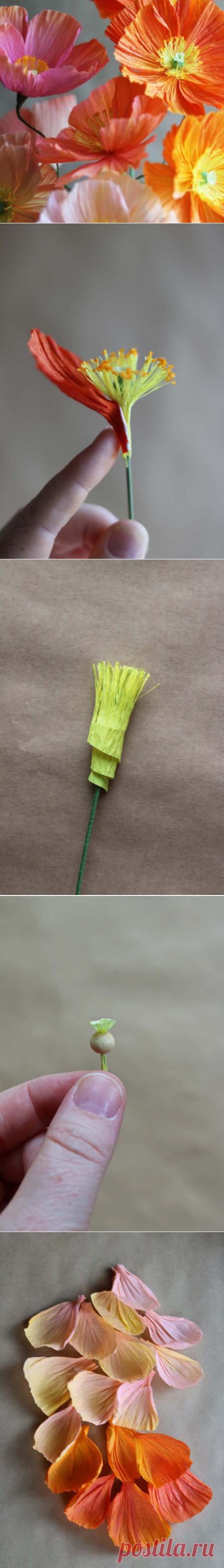 DIY Paper Icelandic Poppies | Design*Sponge