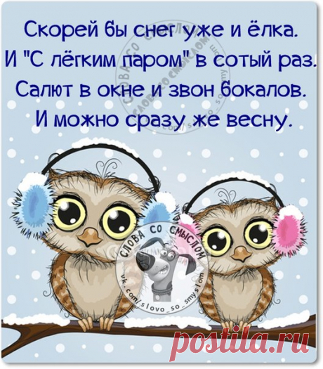ПРИКОЛЬНЫЕ ФРАЗОЧКИ В КАРТИНКАХ ПРО НОВЫЙ ГОД | Чёрт побери