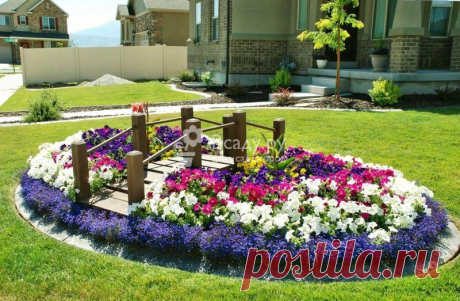 Создание партерных клумб со съедобными растениями на газоне с фото Оригинально оформляем газон: мини-клумбы из полезных трав и овощей с оградками на газоне, выбор съедобных растений для партерных клумб с фото