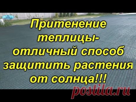 Защита растений от солнца- укрытие теплицы затеняющей сеткой.