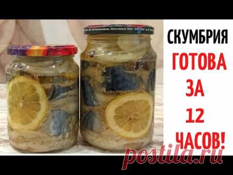 Скумбрия 🐟 ВКУСНЕЕ КРАСНОЙ РЫБЫ ☑️ за 12 часов ☑️ на 🌲 НОВОГОДНИЙ СТОЛ‼️