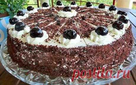 РЕЦЕПТ — КОФЕЙНЫЙ ТОРТИК \\ восстановление удаленных данных