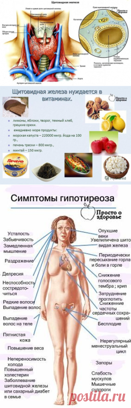 (81) Одноклассники