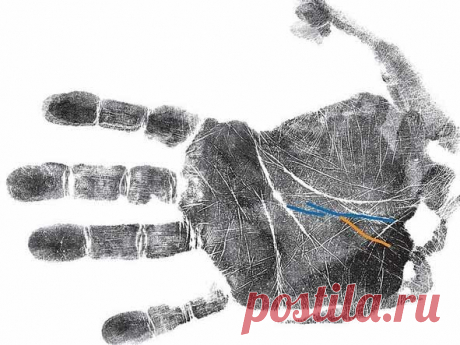 Как узнать о болезнях по руке: секреты хиромантии | Красота внутри вас | Яндекс Дзен