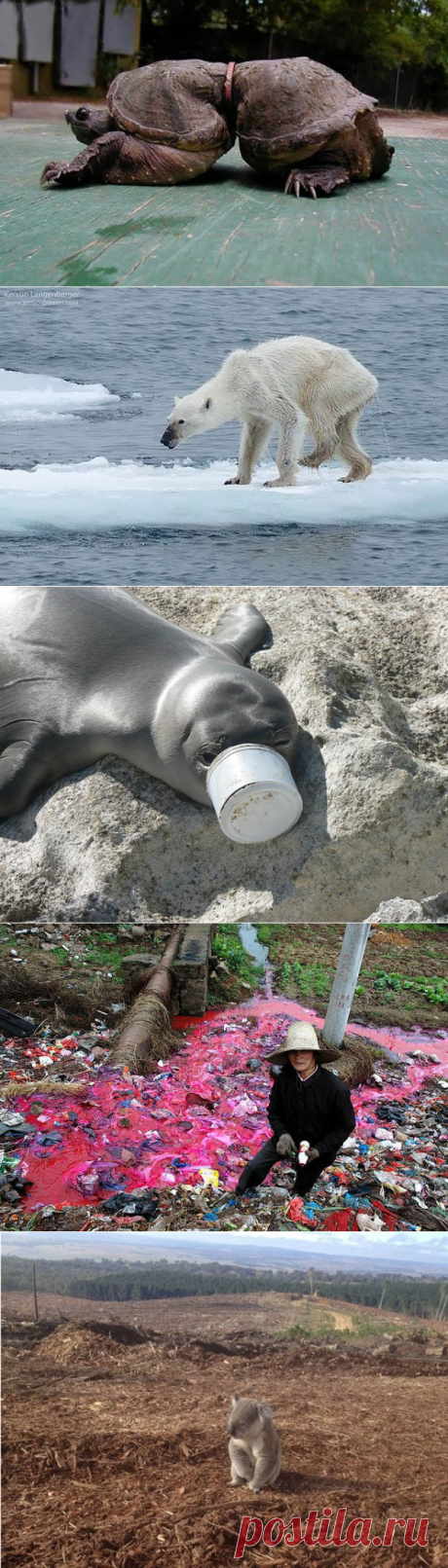 (30) Одноклассники