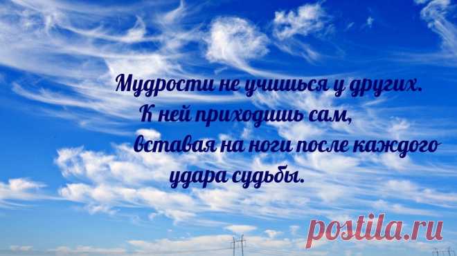 мудрость  цитата  выносливость сила духа успех и мотивация