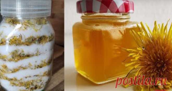 Сироп из одуванчиков🌼 &bull; Лучший сайт кулинарии