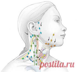 ОЧИЩЕНИЕ ЛИМФЫ: Золотые рецепты фитотерапии Лимфатическая система – одна из самых сложных и хитро устроенных систем человека. Это система вывода ядов из организма, особенно бактериальных и грибково-паразитарных ядов простейших. Практически от этой системы зависит иммунитет человека, а иммунитет – это Жизнь!