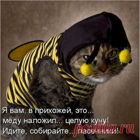 ВСЁ ЛУЧШЕЕ ИЗ YOU TUBE (16 плюс)
❦❦❦ ℒ Ꮆ ❦❦❦