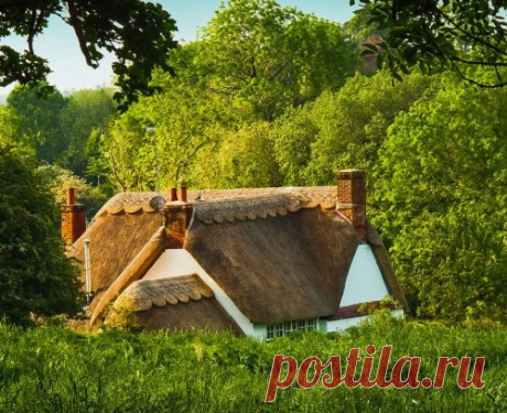 Уютные дома и усадьбы жителей графства Хэмпшир (26 фото)